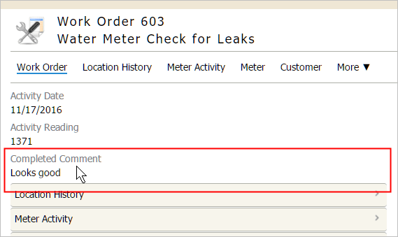 What does a work order marked with an asterisk (*) mean? (Connect Online)