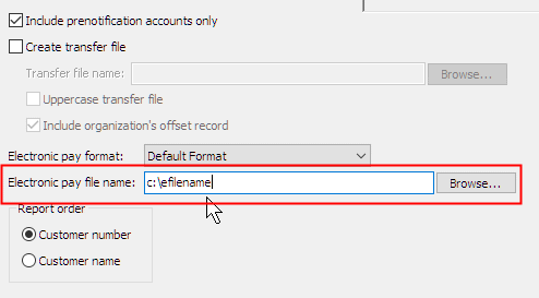 Electronic pay file name
